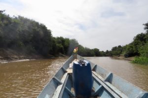 What to see in Bolivia pampas