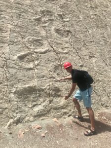 What to see in Bolivia Dino Prints Sucre